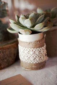 succulents in tin with hessian decor