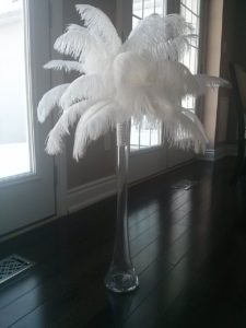 White ostrich feathers