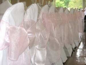White chaircovers
