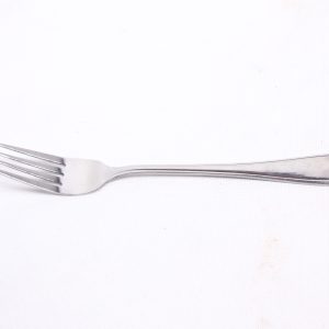 Fork Steak